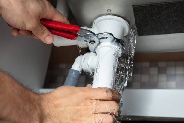Best Carpet water damage restoration  in Hodgenville, KY