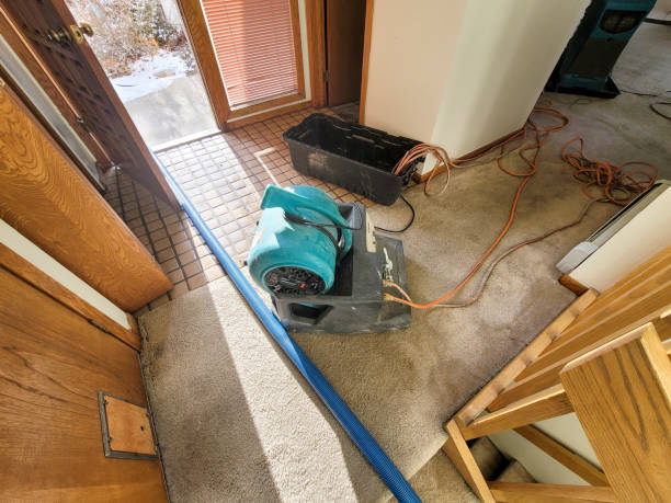 Hodgenville, KY Water damage restoration Company