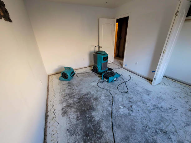 Best Residential water damage restoration  in Hodgenville, KY