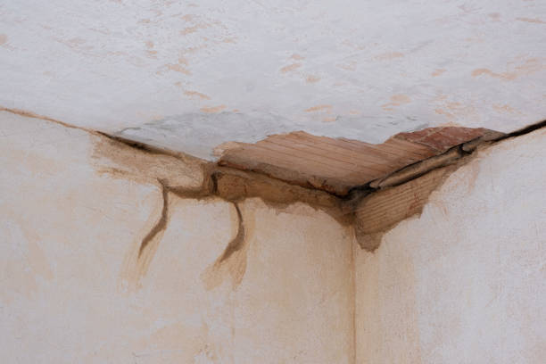 Best Water damage restoration near me  in Hodgenville, KY