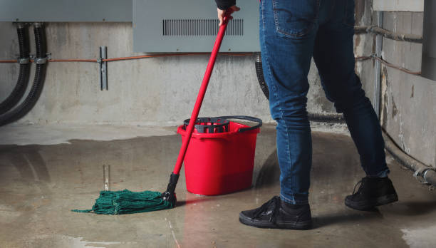 Best Flooded house restoration  in Hodgenville, KY