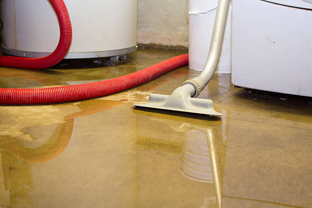 Best Water damage cleanup near me  in Hodgenville, KY