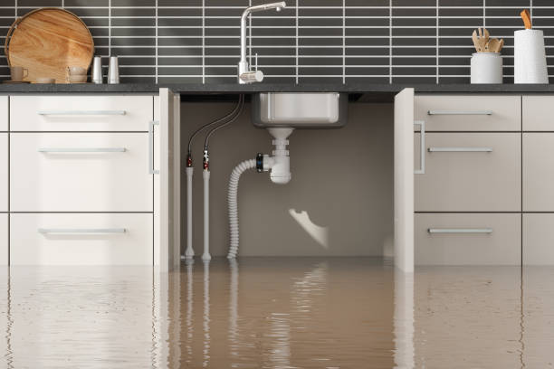 Best Local water damage restoration  in Hodgenville, KY