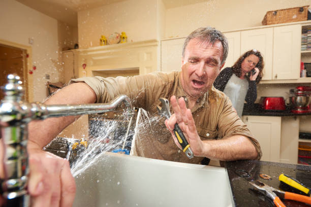 Best Professional water damage repair  in Hodgenville, KY